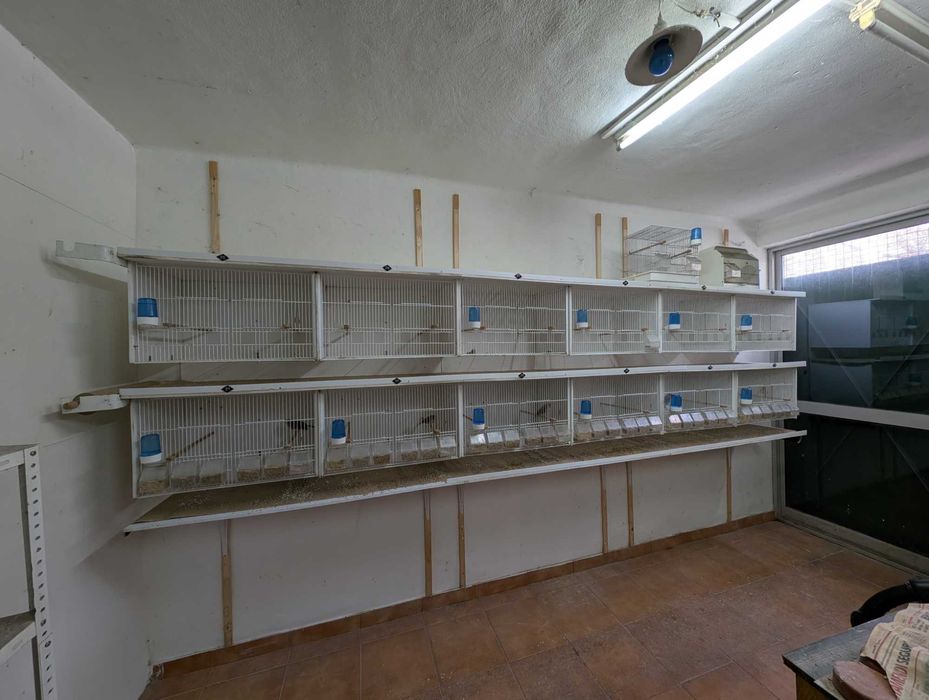 Gaiolas de 12 Buracos em PVC