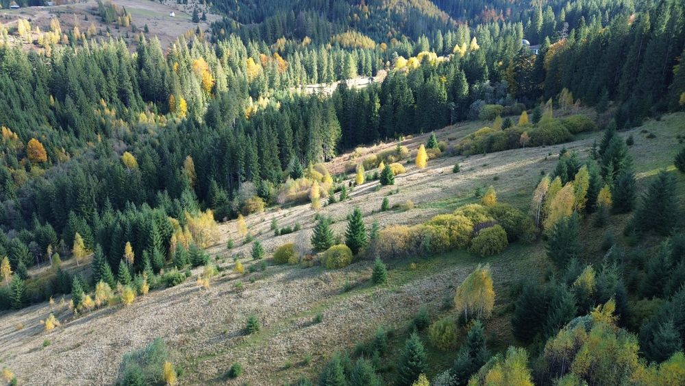 Земля під будову, межує з лісом, гарний доїзд