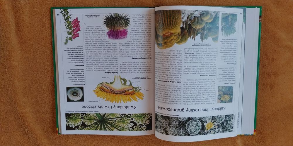Encyklopedia Rośliny i zwierzęta larousse