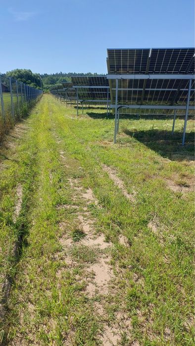 Karczowanie Działek-Pielęgnacja Terenów Zielonych-Mulczowanie-Koszenie