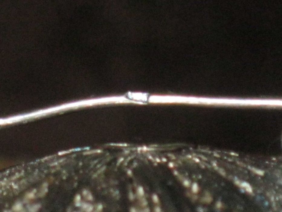 Alfinete Filigrana em Prata de Lei Maciça 835`/..