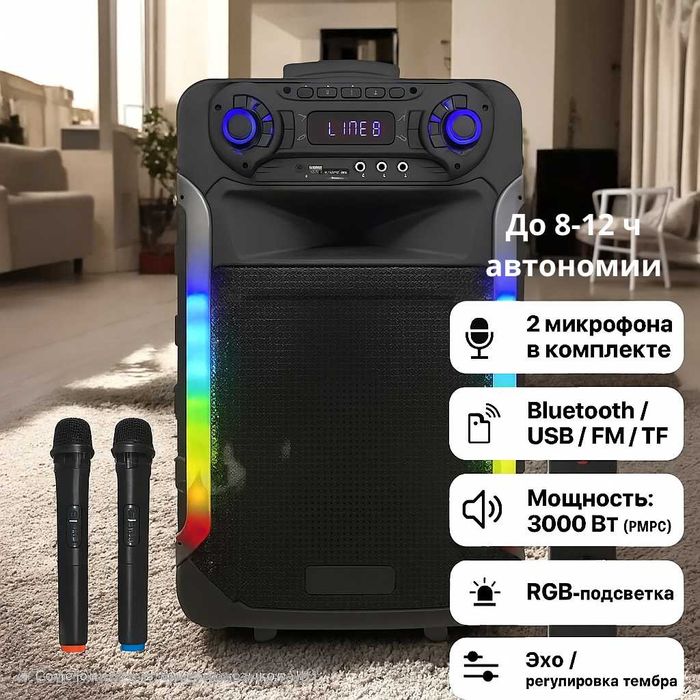 Портативная Bluetooth-колонка ZXX радио, микрофоны, эквалайзер