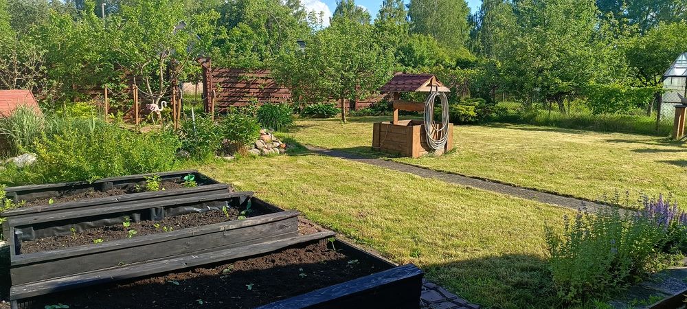 Na sprzedaż działka ROD – około 3 ary, pięknie zagospodarowana