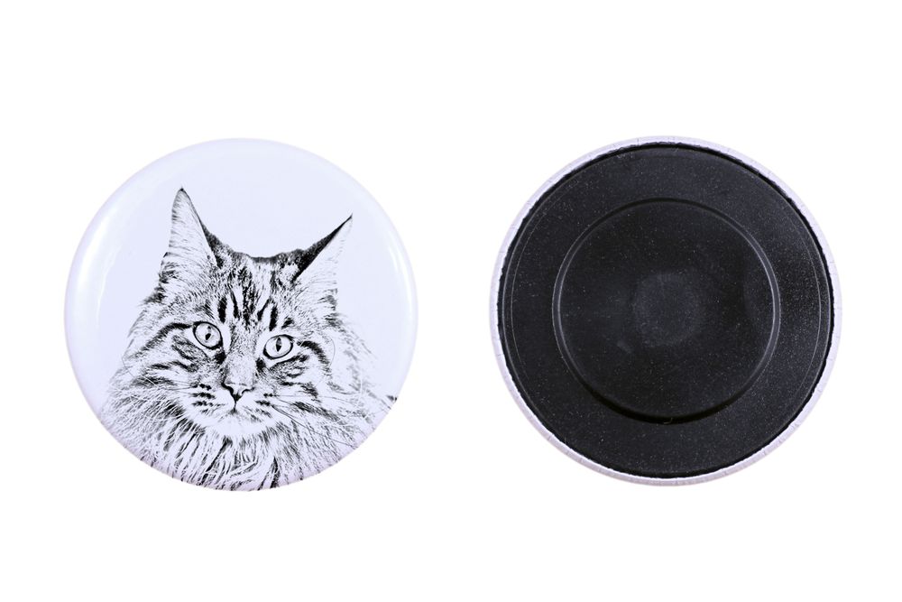 Maine Coon magnes z kotem mały Art-Dog