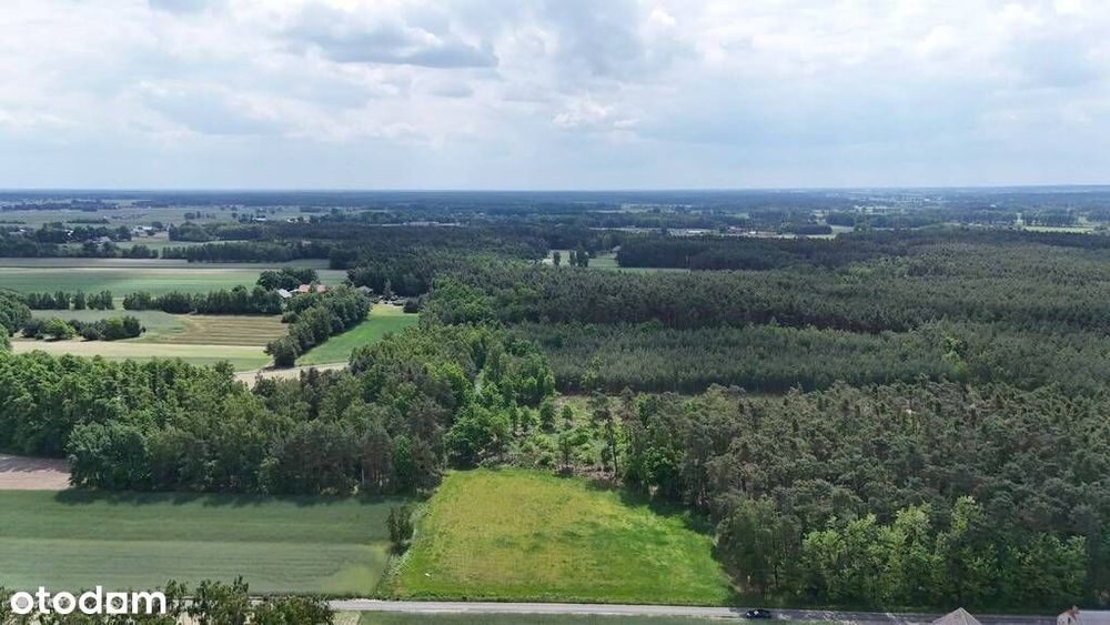 Wyjątkowa Działka przy lesie - Masanów - Widok 2
