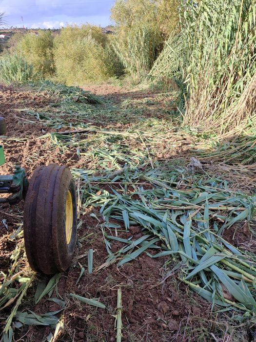 Limpeza de terrenos agrícolas e florestais