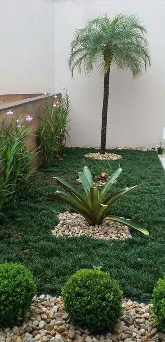 Small backyard cleaning