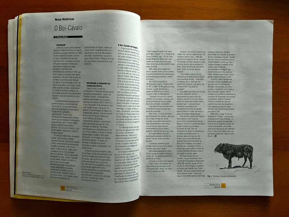 Revista Veterinária Técnica - Ago. 1994