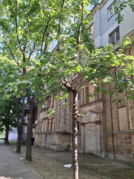 Квартира , СТАЛІНКА , в самому серці міста
