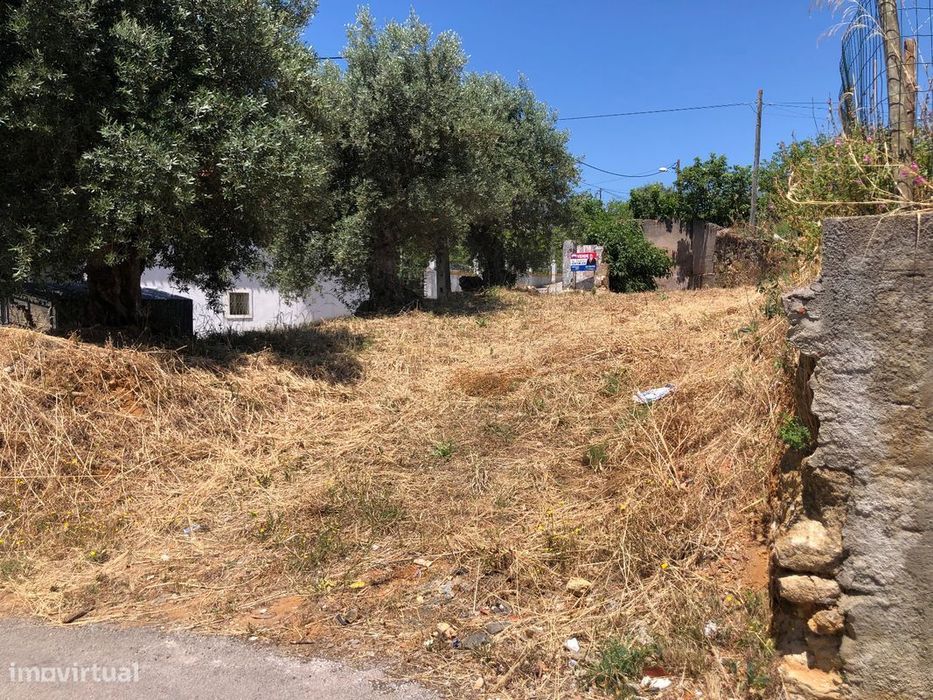 Terreno  para venda — Torres Novas (São Pedro), Lapas E Ribeira Branca, Santarém