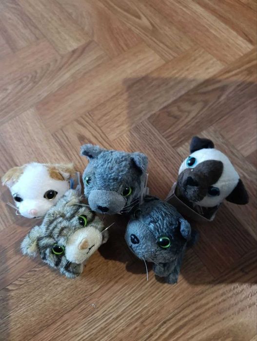 The cat collection  и Dog Collection Собачки и Котики из коллекции