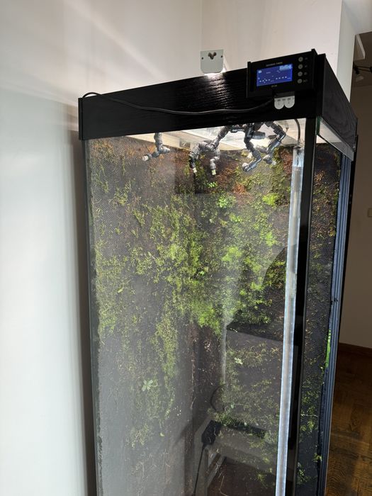 Paludarium terrarium 150x50x50