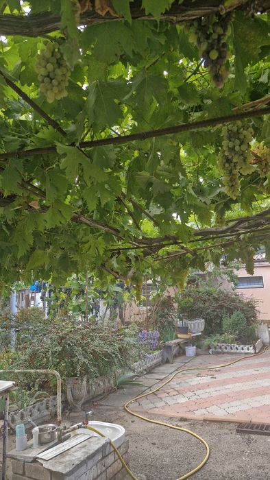 Дом по адресу (площадь 83 м²) - Atlanta.ua - фото 5