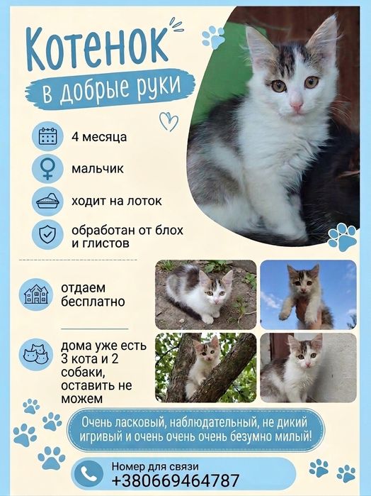 СЛАВЯНСК! Отдам бесплатно!