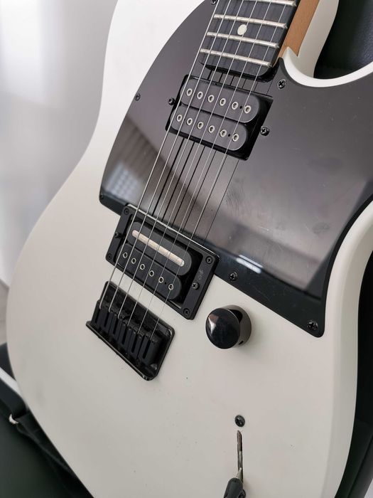 Fender Jim Root Telecaster Flat White