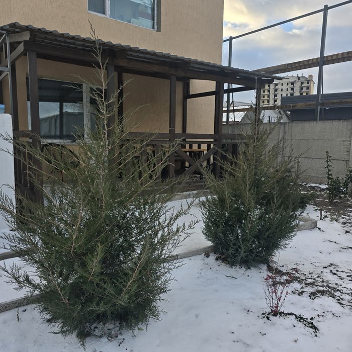 Баня , сауна , беседка Павлоград