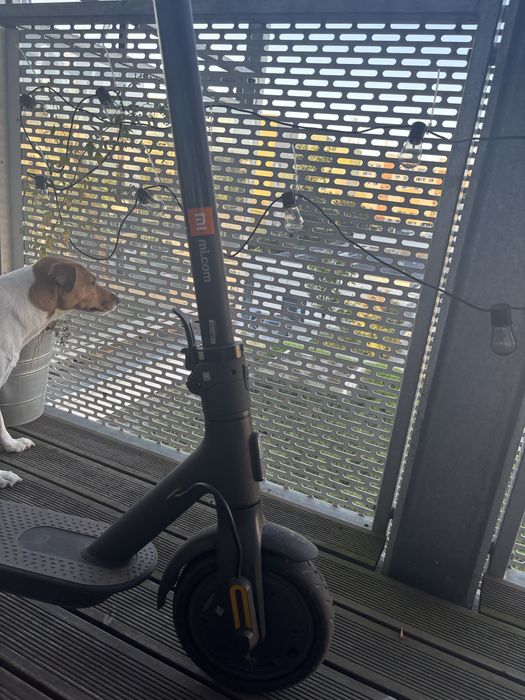 Xiaomi Mi Electric Scooter Essential 250W 20km