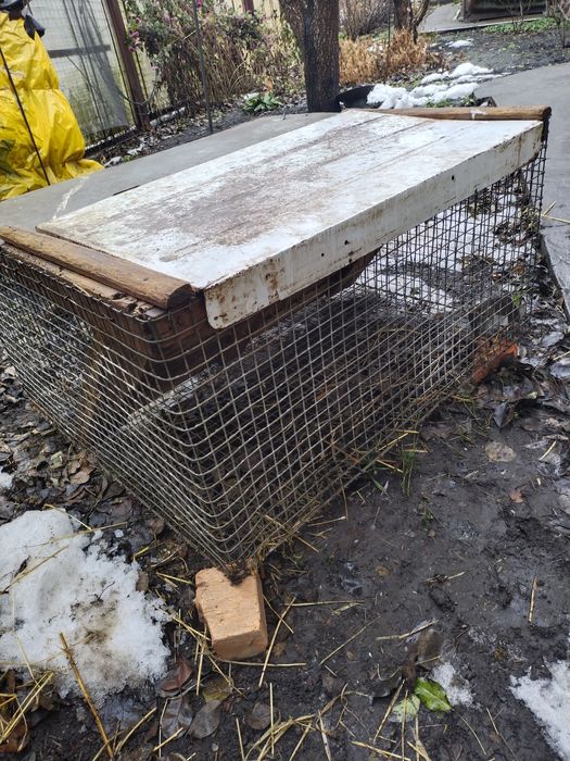 Клітки для кролів, курей, нутрій