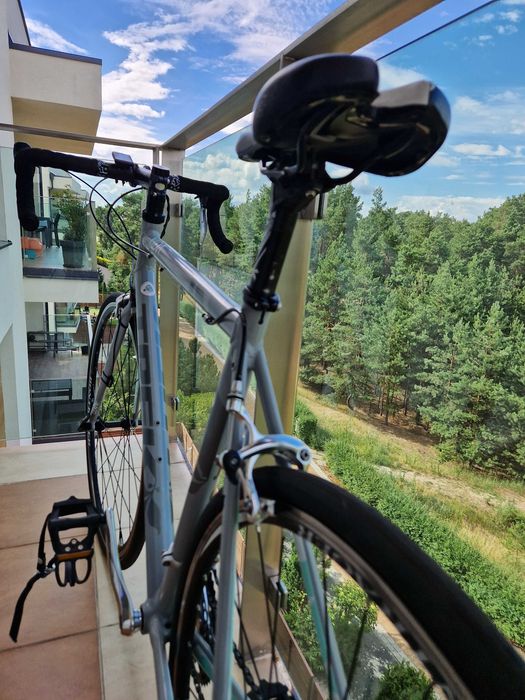 Rower szosowy Trek Lexa S 56 H3 – karbonowy widelec, po serwisie