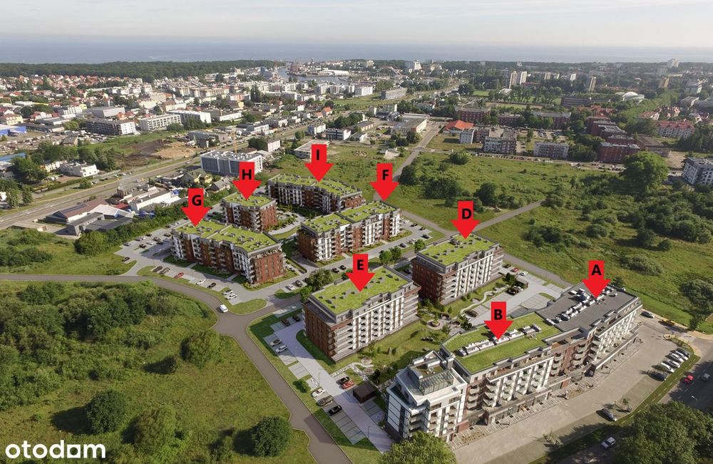 Zdjęcie 7