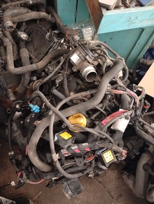 Двигун коробка автомат 1.5 1.6 1.9 2.0 турбіна форсунки Рено меган 2 3