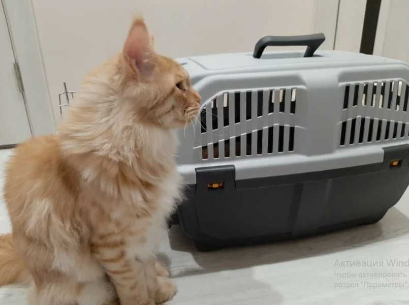 Переноска бокс клетка для собак кошек размеры от №1,2,3,4,5,6,7 АВИА