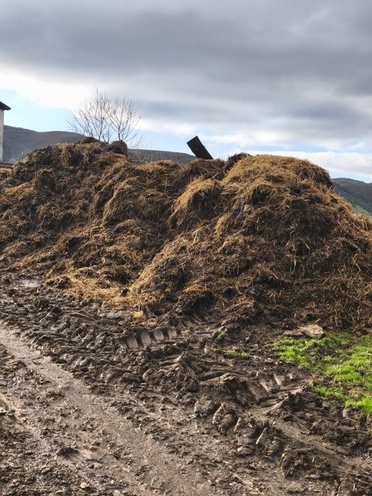 Vendo estrume de ovelha