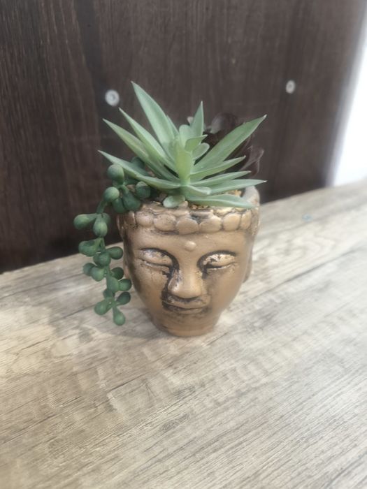 Sztuczne kwiaty – sukulenty w doniczce