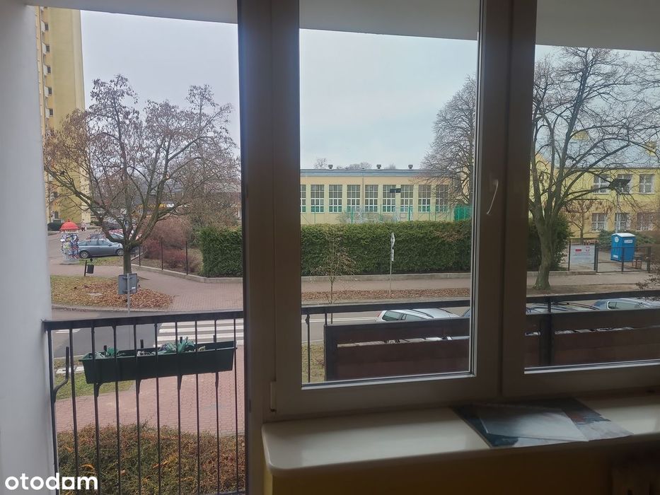 Mieszkanie, 2 pokoje, duży balkon, 1. piętro