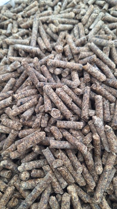 Wysłodki suche brykietowane melasowne