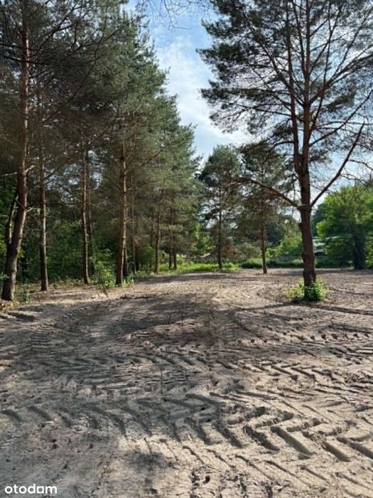 Działki budowlane 1500 m² przy lesie | Szczęsne | 1,2 km do WKD - Więcej