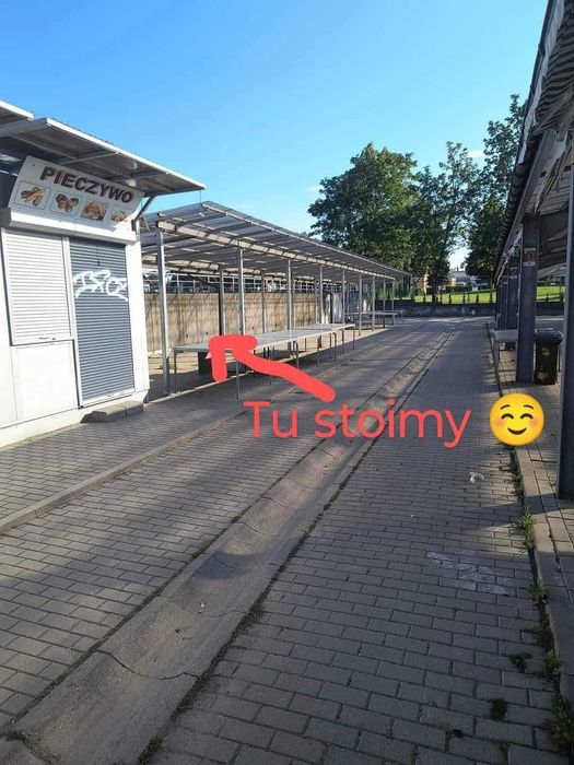 Maliny bardzo smaczne