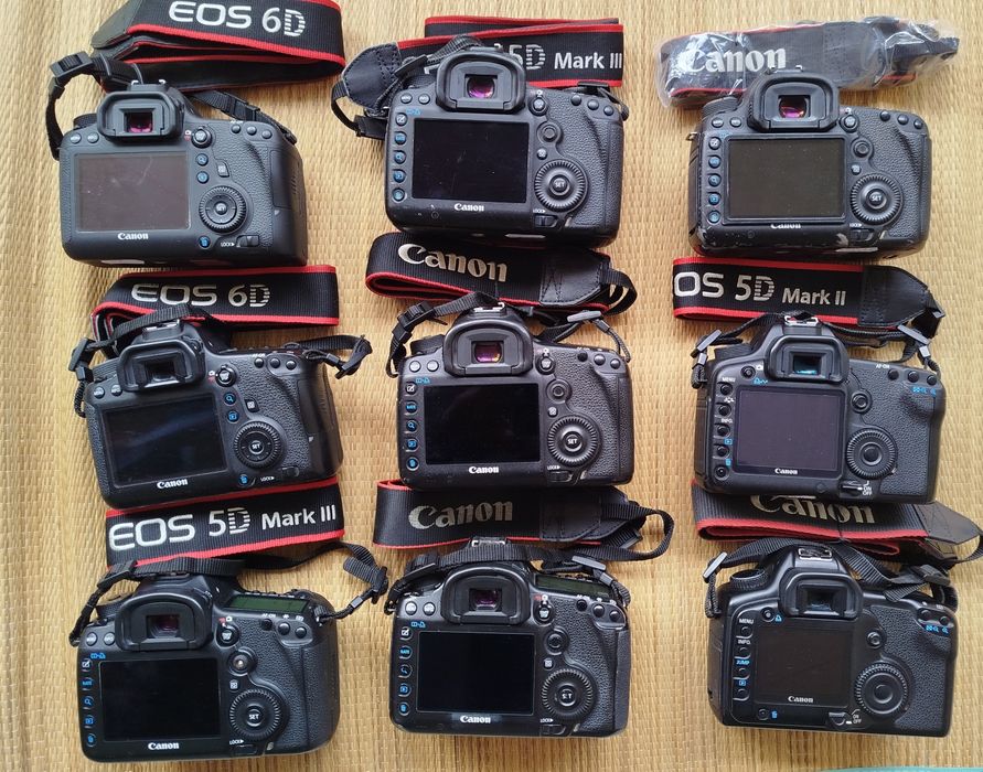 Canon 6d, 5d mkIII, 5dmkII e 5d mkI
