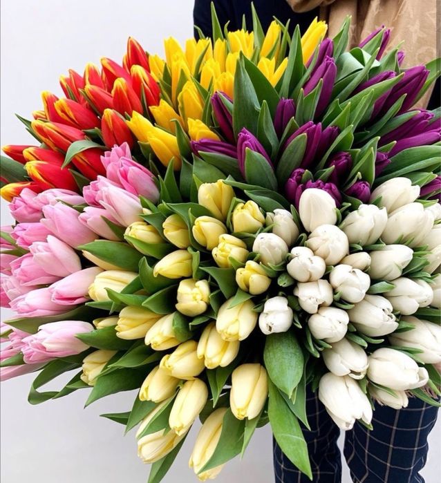 ПЕРЕДЗАМОВЛЕННЯ! Тюльпани Вінниця, ОПТ та роздріб, від 35 грн