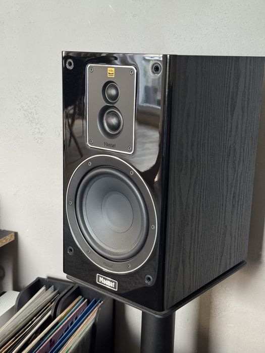 Magnat Signature 503