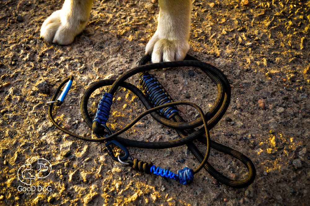 Поводок для собак | Повідець для собаки
