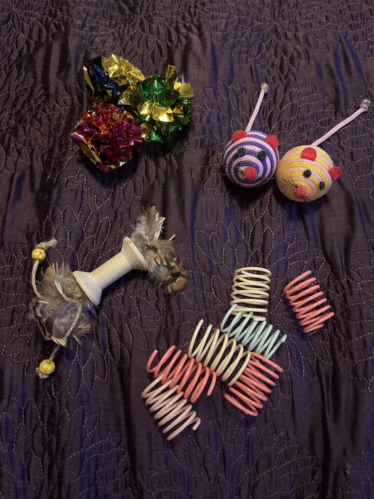 Zabawki dla kota różne (myszka, sprężynki, pompony, piórka, szeleszczące)