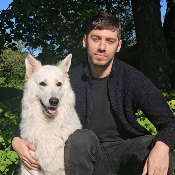 Domowa opieka nad średnim lub dużym psem - Poznań