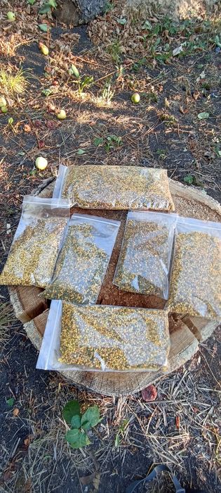 Бджолиний пилок ,обножка пчел, пчелиная пыльца,пыльцезборник