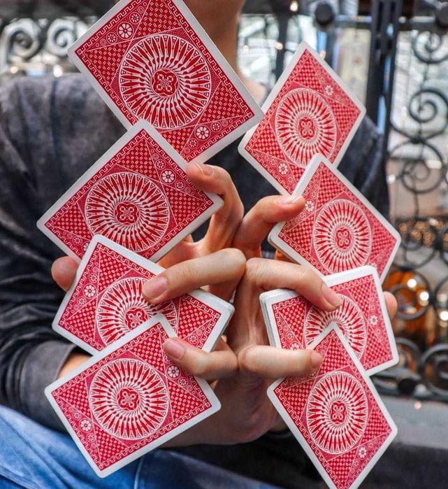 Доставка 0 грн! Гральні карти Aviator, Bicycle, Tally-Ho, Bee