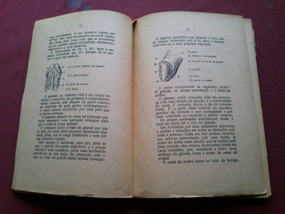 Dr. William Schaft—Fertilization, Pregnancy, and Childbirth—n.d.64741187605634122