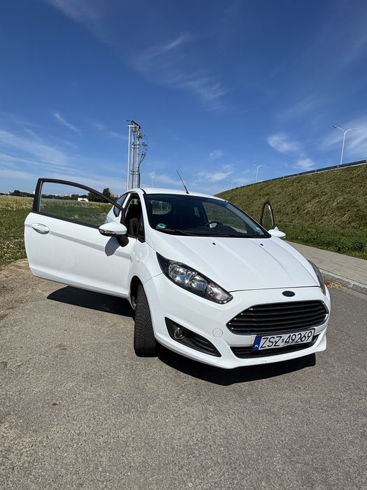 Ford Fiesta 2014 1.6 TCDI 95km