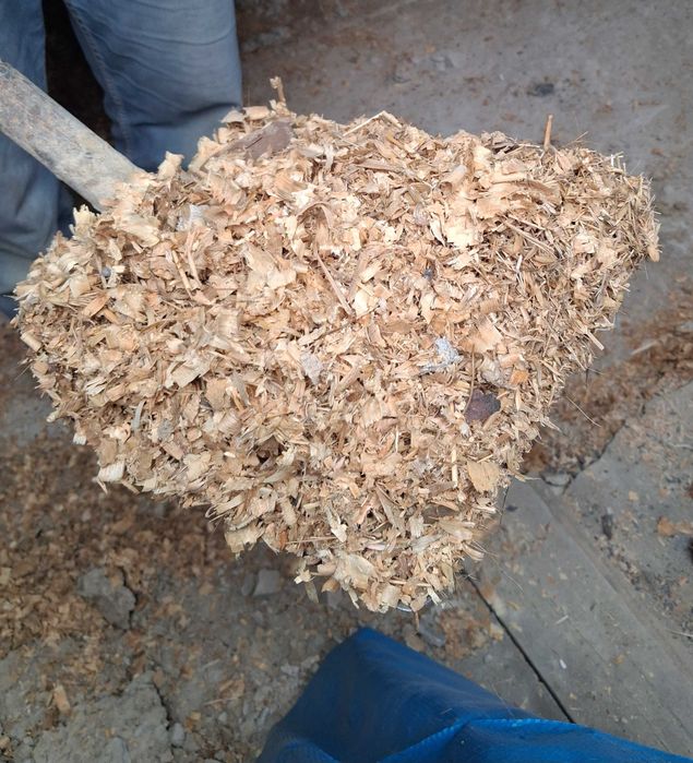 Oddam trociny, wióry