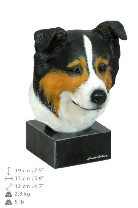 Border Collie ręcznie pomalowana statuetka Art-Dog