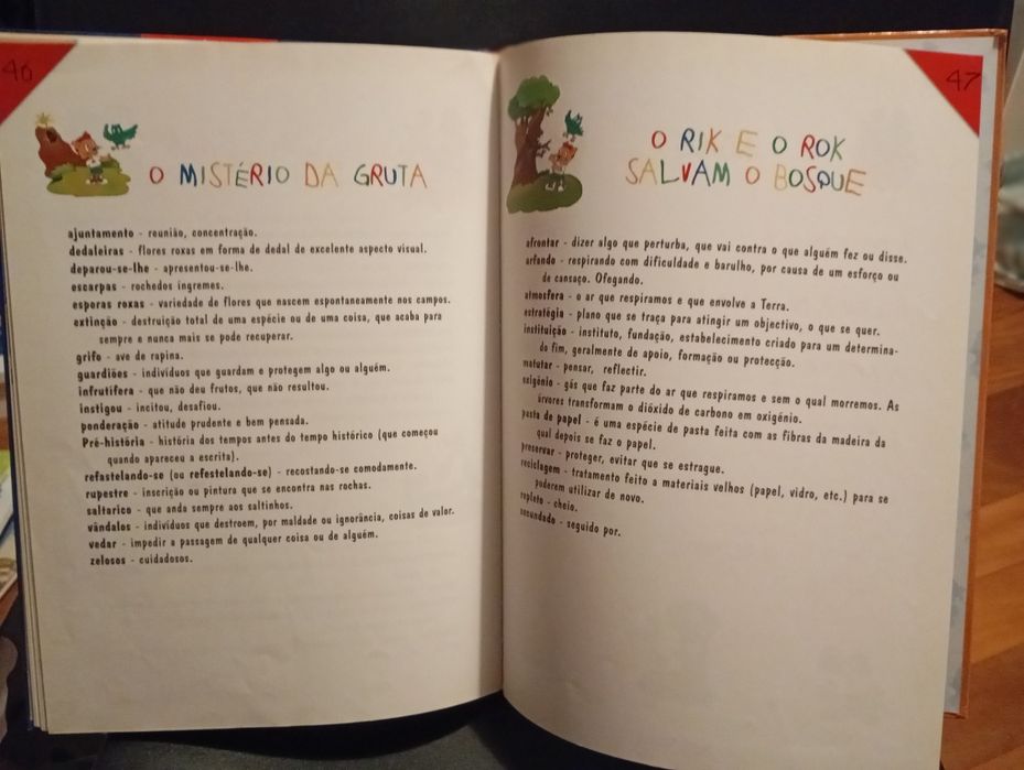 Livro " As aventuras de Rik & Rok "
