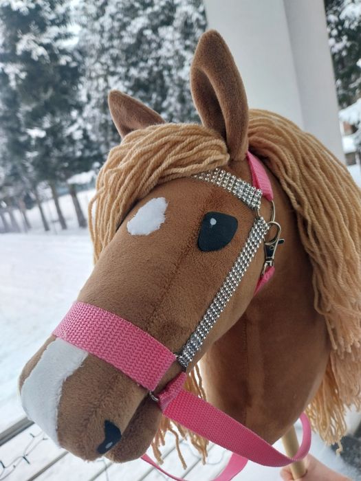 Hobby Horse-koń na kiju