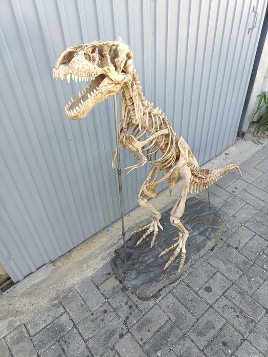 Escoleto de dinossauro