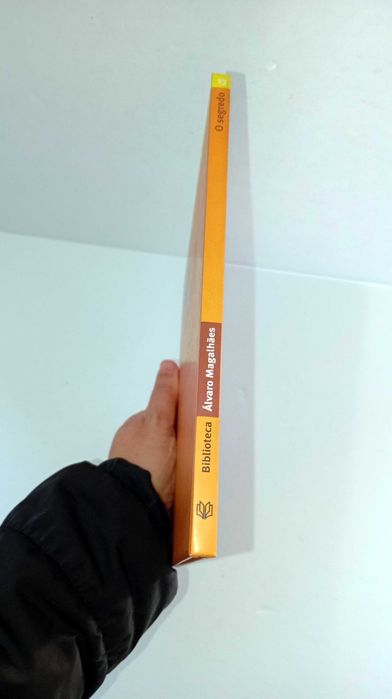 O Segredo - Álvaro Magalhães