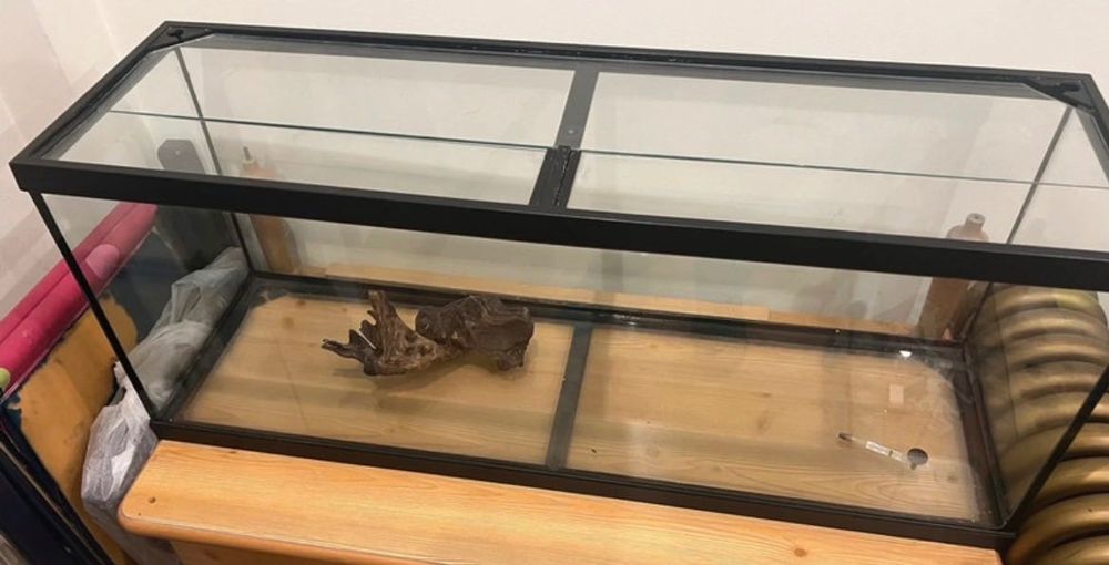 Aquário - Aquacultura