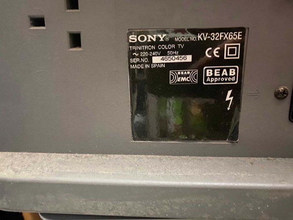 Televisão e Móvel Sony Trinitron Color 50Hz